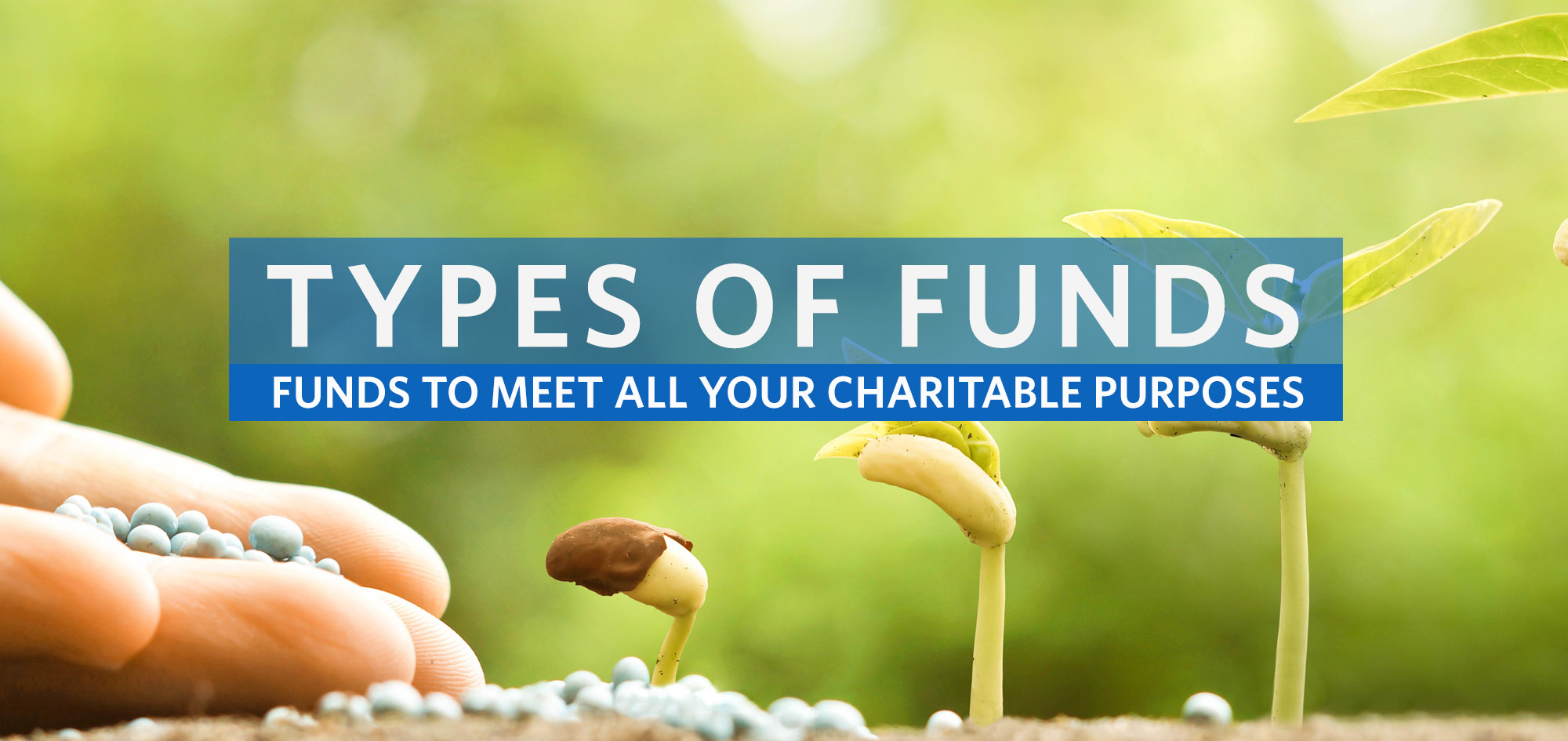 Types Of Funds The Community Foundation Of Will County